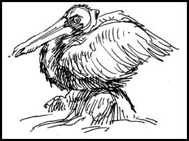 2006-1127-flamingogardens-1.jpg