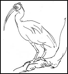2006-1127-flamingogardens-3.jpg