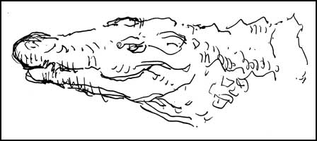 2008-0801-bilswsaf-croc.jpg