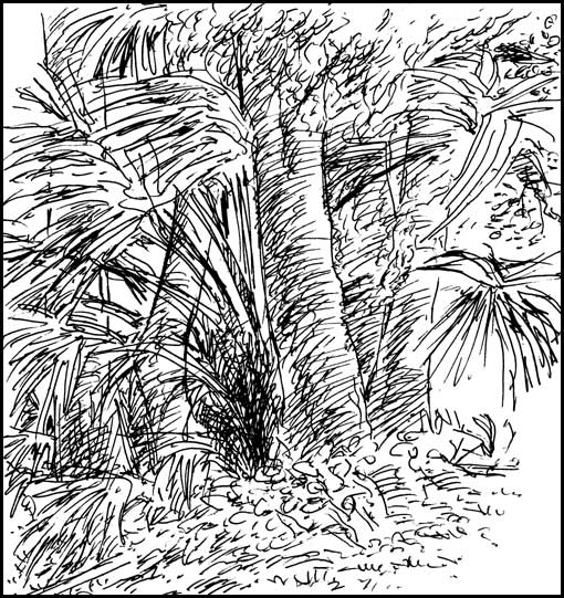 2008-1118-100yrocalanatfora