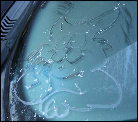 2009-0303-frost