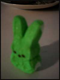 2009-0416-marion9-12