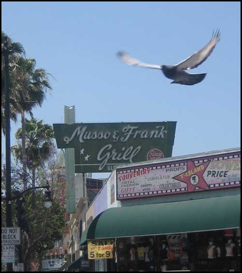 2009-0524-ncs-3-mussofrank 2009-0524-ncs-3-mussofrank