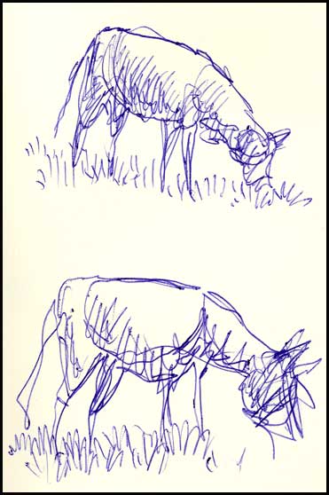 2009-1028-lykescows