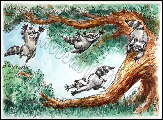 2009-1203-art-raccoonplay1