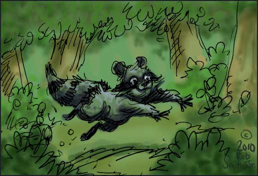 2010-0119-raccoon