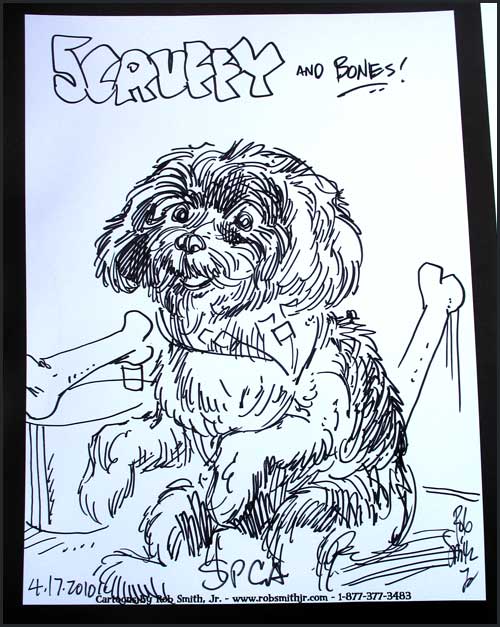 2010-0417-spca-scruffy 2010-0417-spca-scruffy