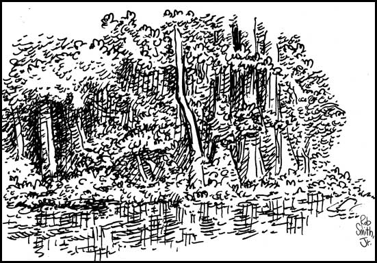 2010-0605-silverriver