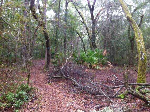 2011-0205-CrossGreenHike-3
