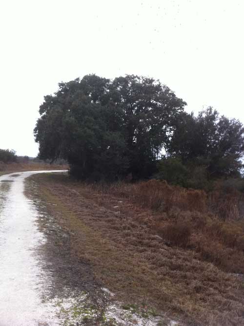 2011-0205-CrossGreenHike-5
