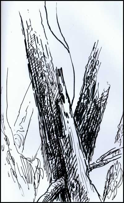 2011-0311-SketchDay-Landb2