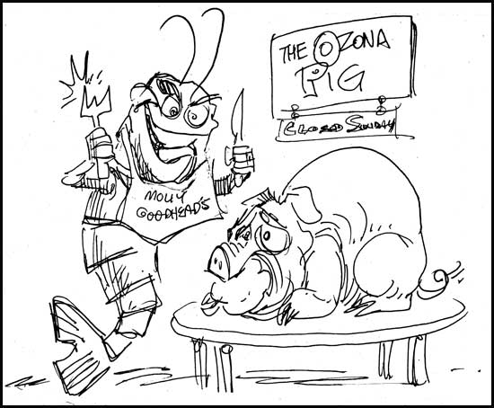 2011-0605-Sketch-OzonaPib
