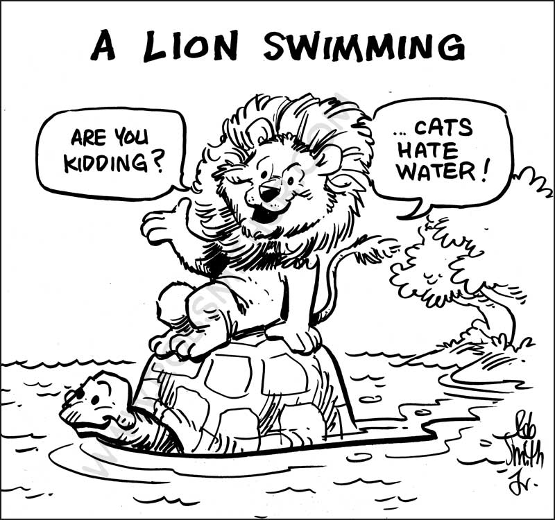 2011-0810-SiketchWeek-LionSwim